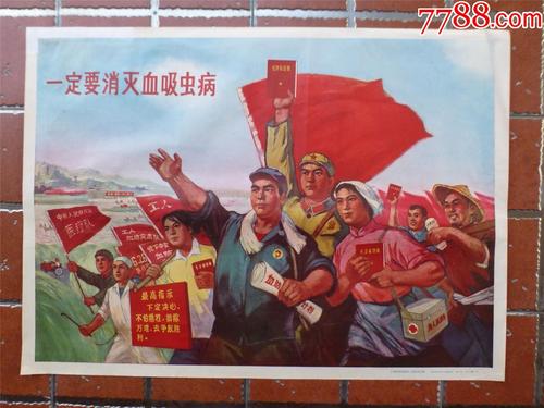 爱尔兰身份证假的多少钱